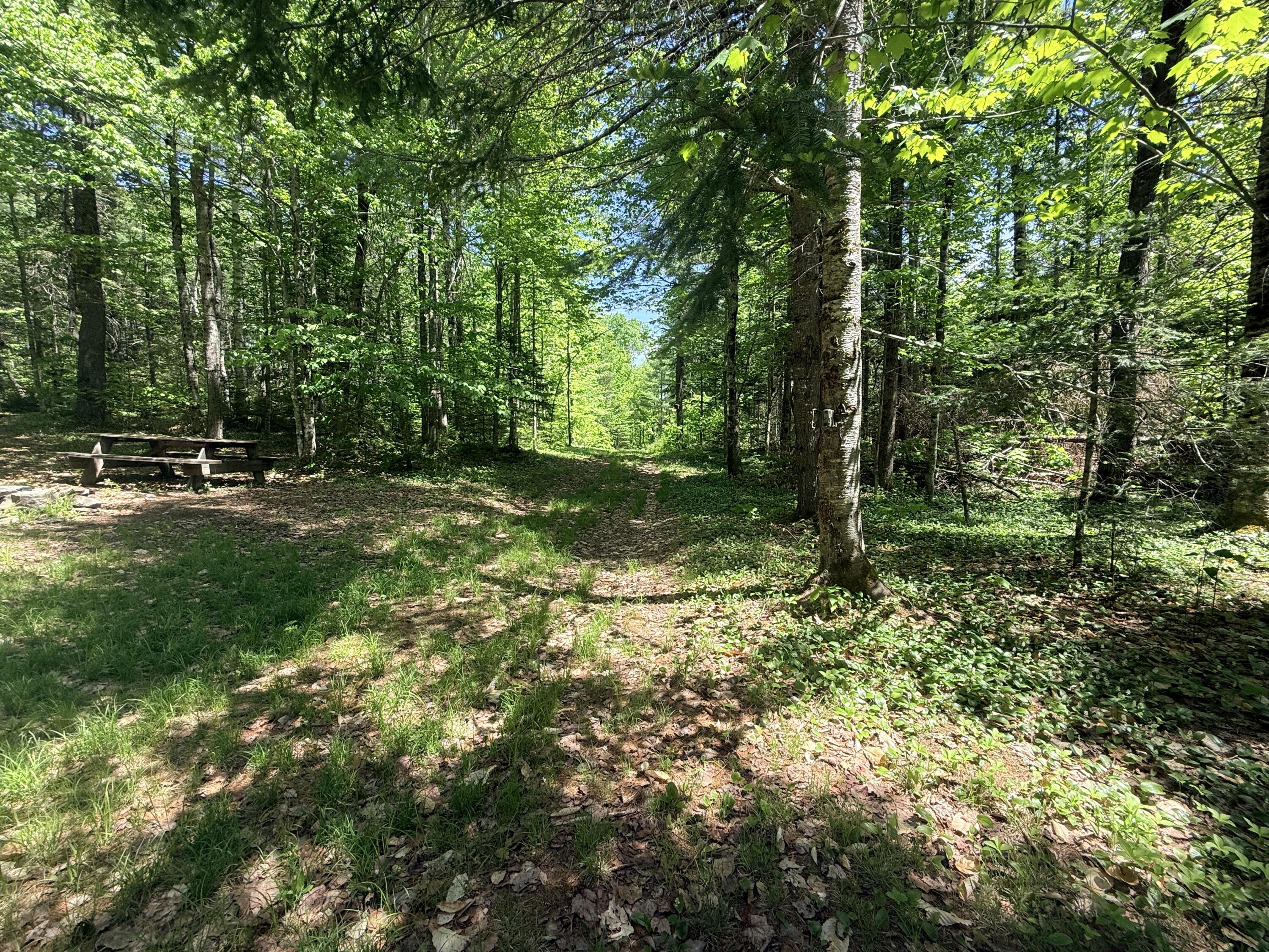 Tbd Ames Road Lee, ME 04455 - Photo 4 of 8