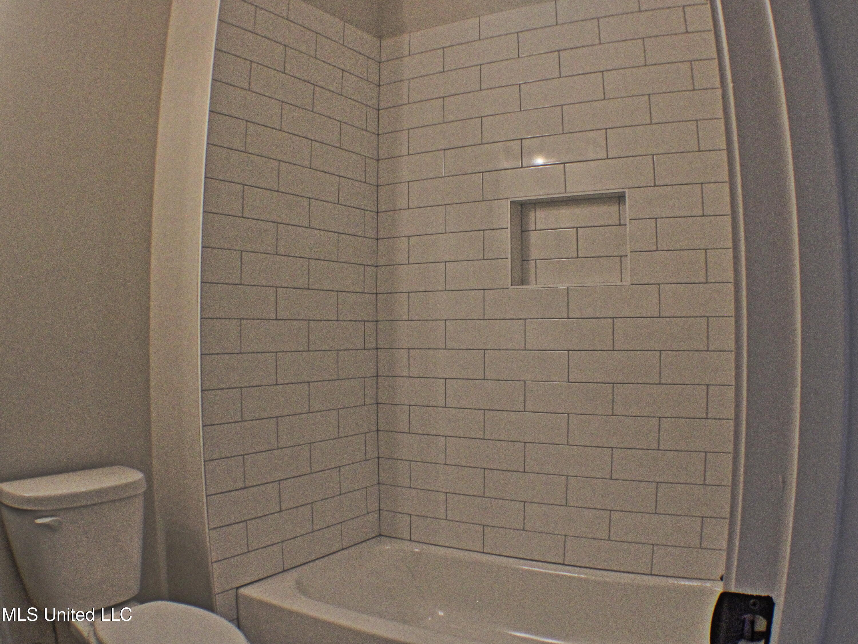 2172 Laughter Road Nesbit, MS 38651 - Photo 19 of 20 Spare bath
