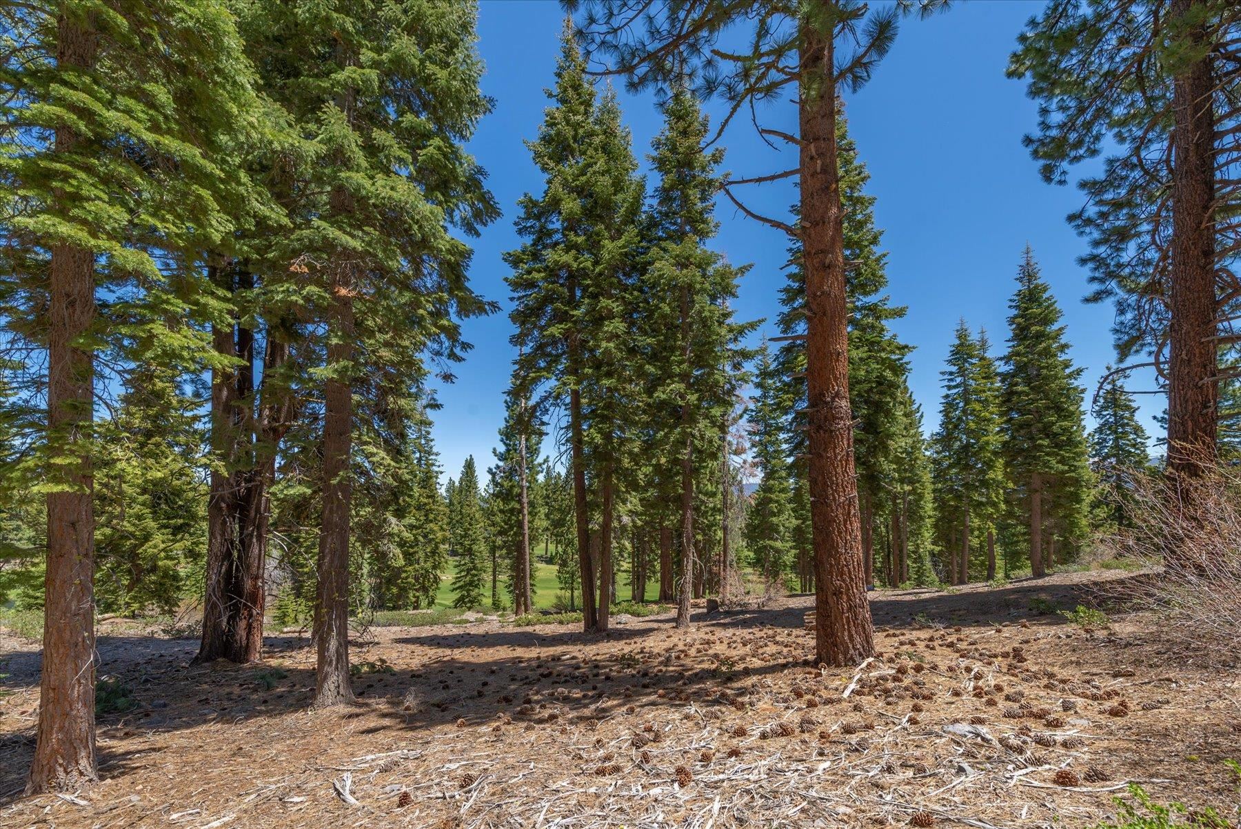 9348 Nine Bark Road Truckee, CA 96161 - Photo 11 of 17