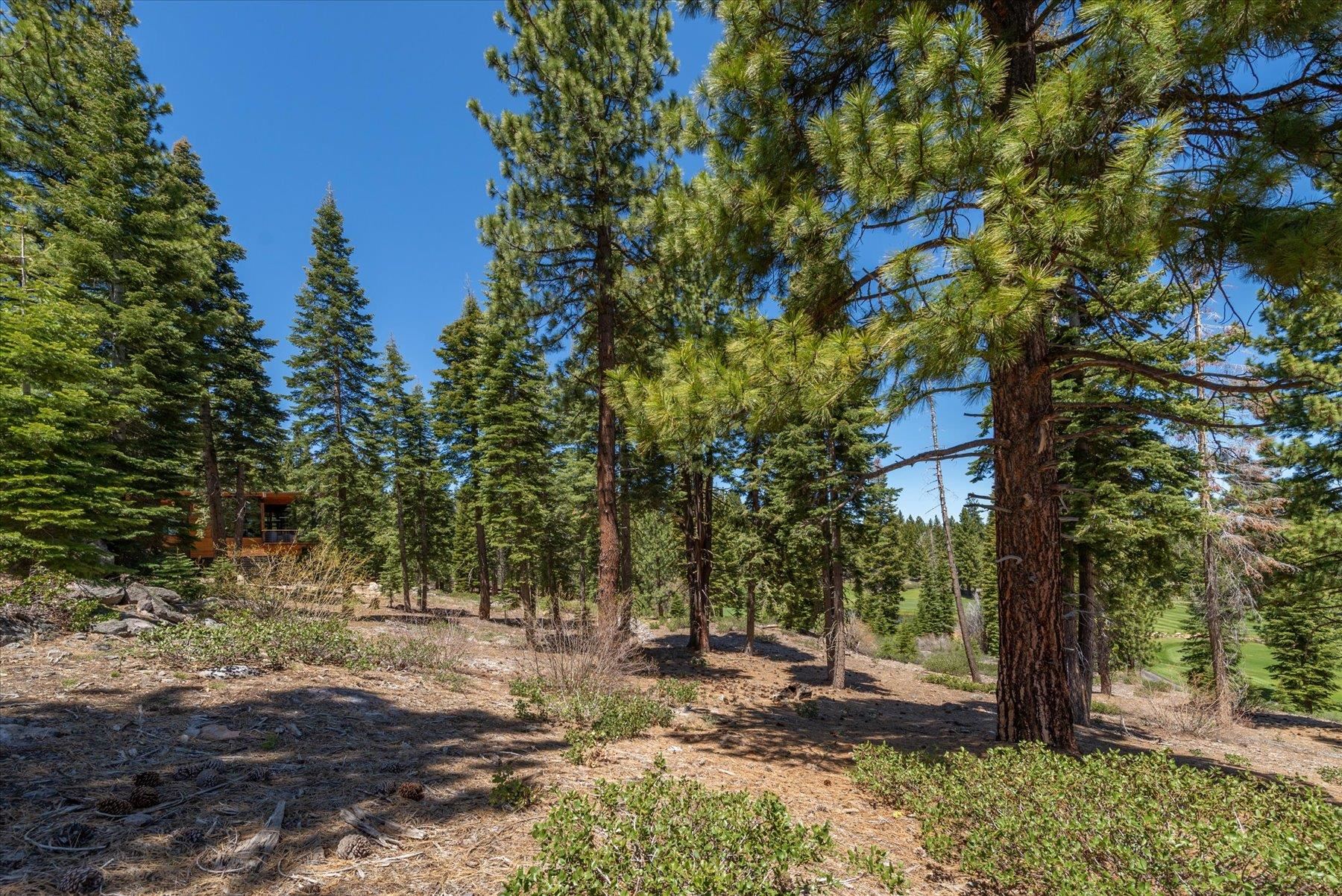 9348 Nine Bark Road Truckee, CA 96161 - Photo 12 of 17