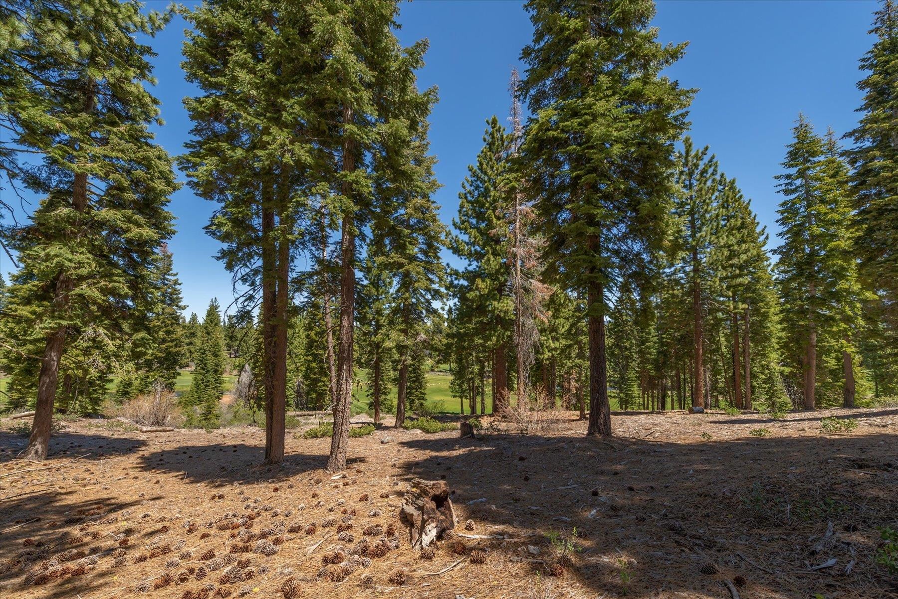 9348 Nine Bark Road Truckee, CA 96161 - Photo 13 of 17