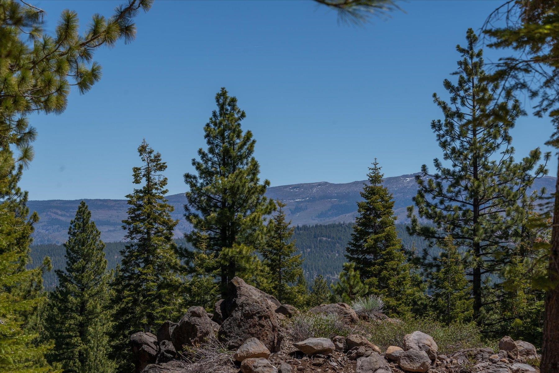 9348 Nine Bark Road Truckee, CA 96161 - Photo 8 of 17