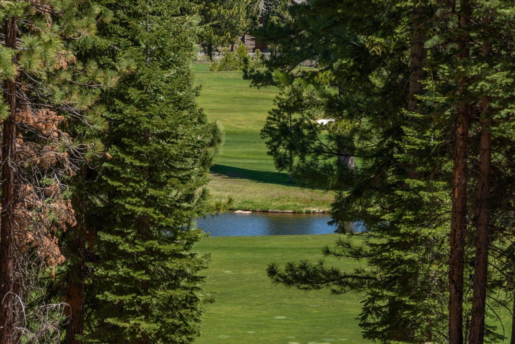 9348 Nine Bark Road Truckee, CA 96161 - Photo 9 of 17