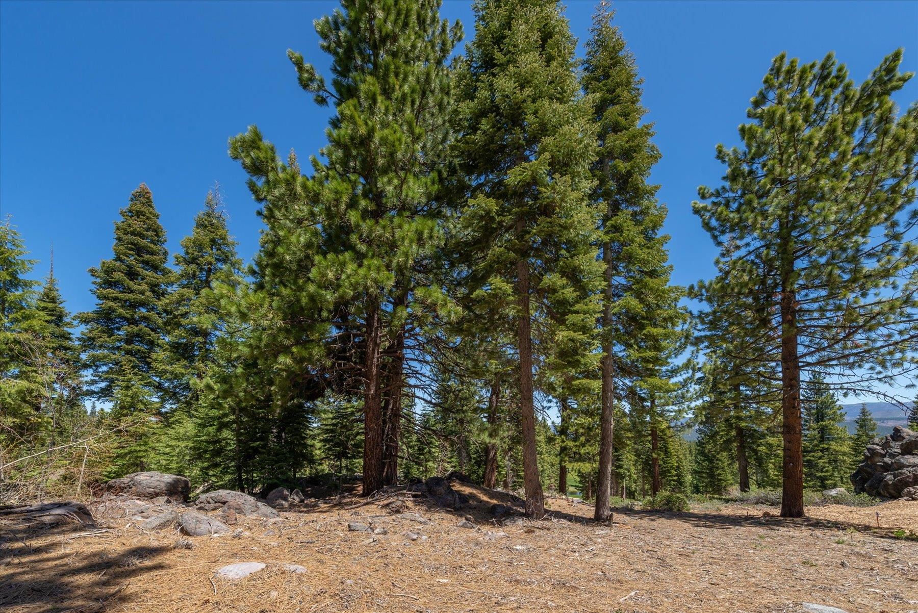 9348 Nine Bark Road Truckee, CA 96161 - Photo 10 of 17