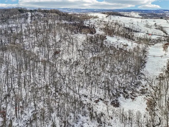 a view of a dry yard with wooden fence