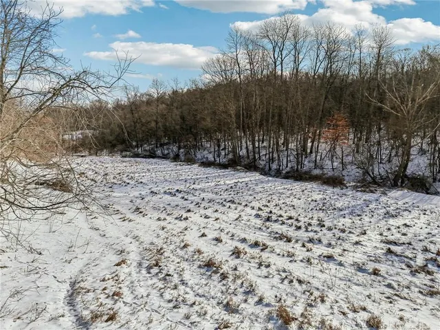 a view of a backyard of the house