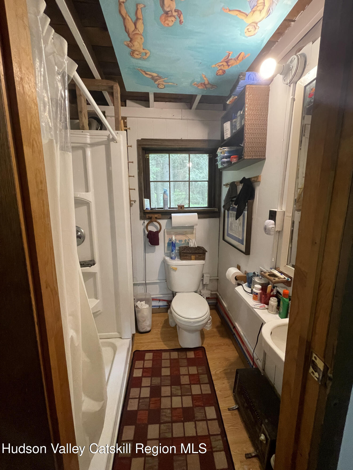 367 Rainbow Hill Road Andes, NY 13731 - Photo 20 of 30 a bathroom with a sink toilet and shower