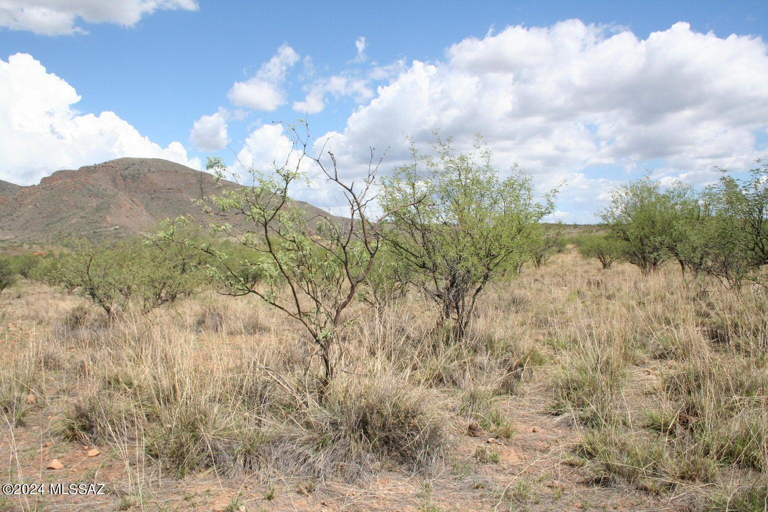 80 Morning Star Drive Rio Rico, AZ 85648 - Photo 28 of 30