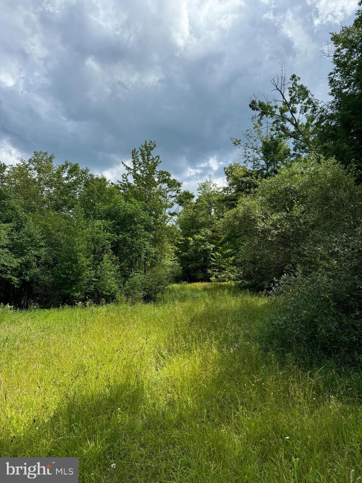 Mayhew Inn Road Oakland, MD 21550 - Photo 11 of 31