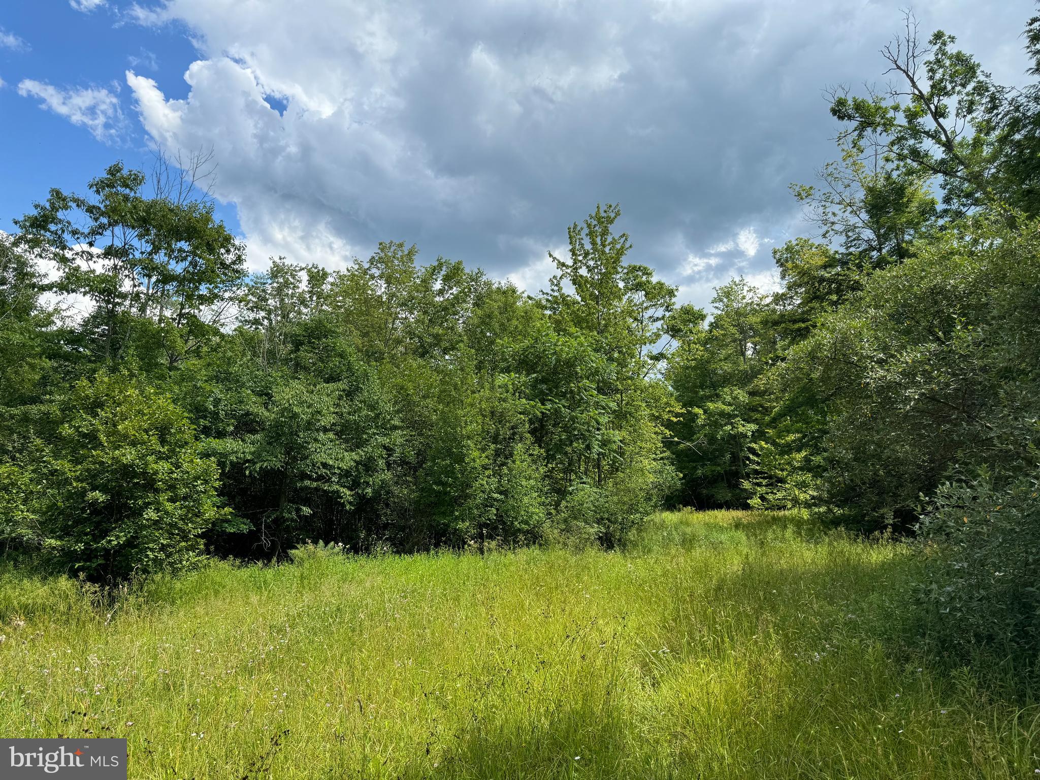 Mayhew Inn Road Oakland, MD 21550 - Photo 12 of 31