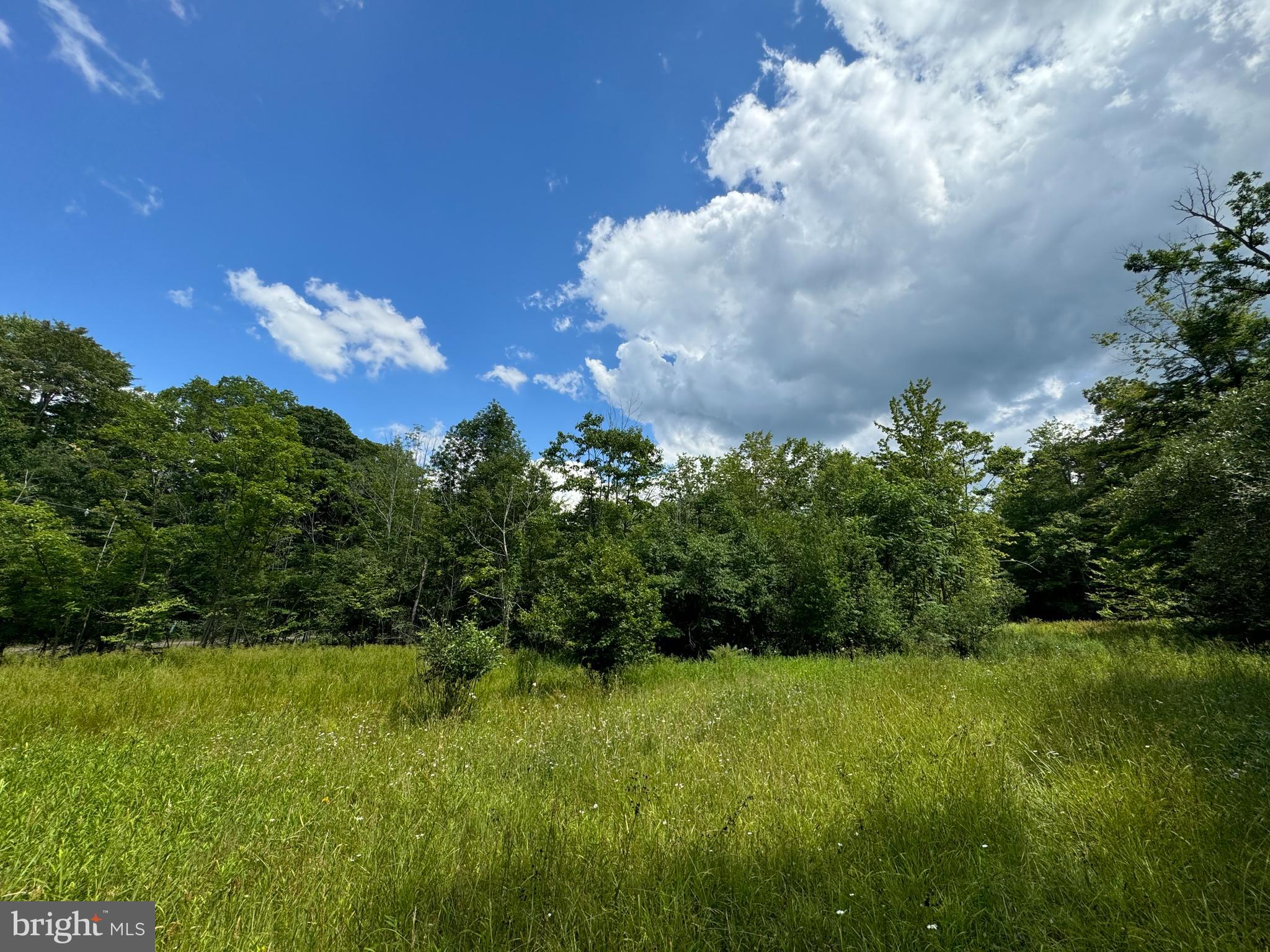 Mayhew Inn Road Oakland, MD 21550 - Photo 13 of 31