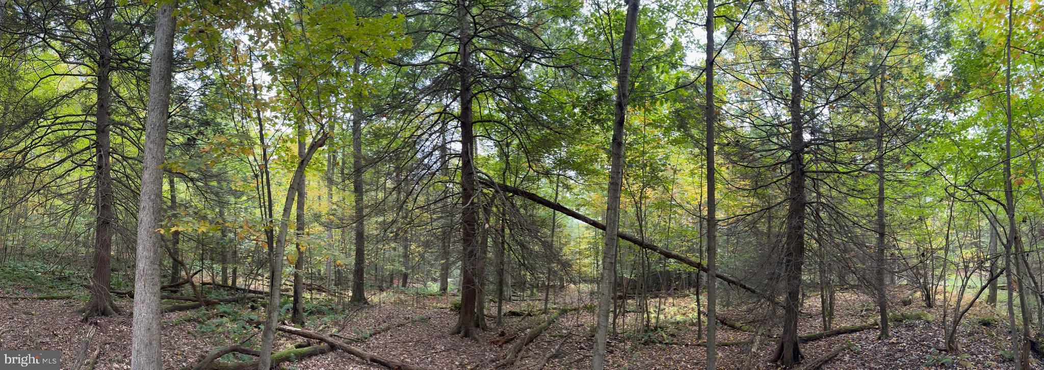 Mayhew Inn Road Oakland, MD 21550 - Photo 16 of 31