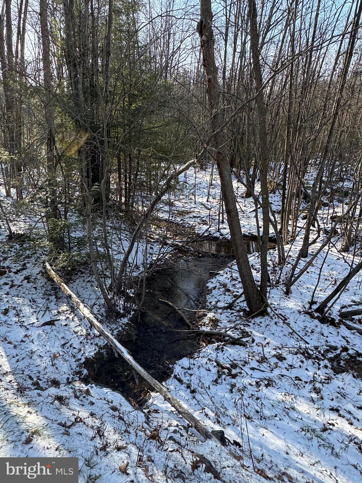 Mayhew Inn Road Oakland, MD 21550 - Photo 18 of 31