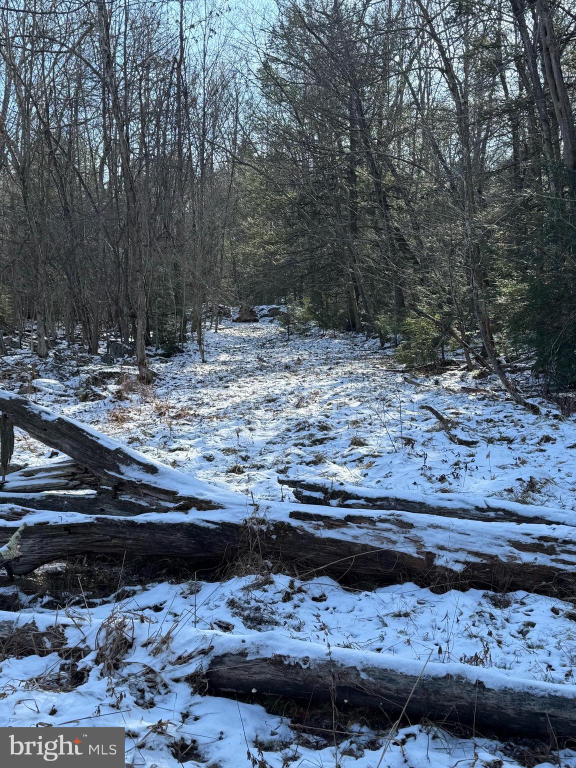 Mayhew Inn Road Oakland, MD 21550 - Photo 20 of 31