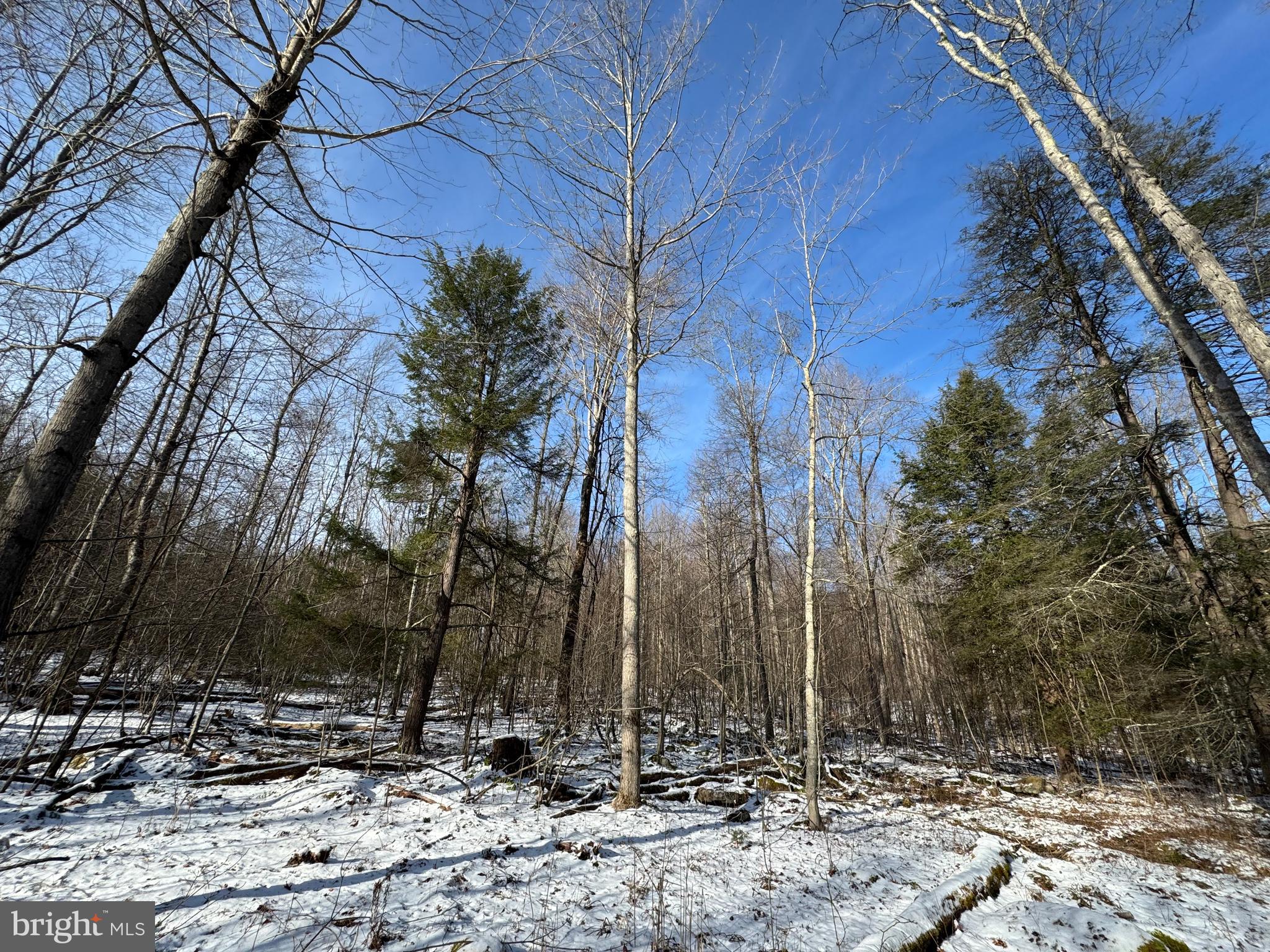 Mayhew Inn Road Oakland, MD 21550 - Photo 22 of 31