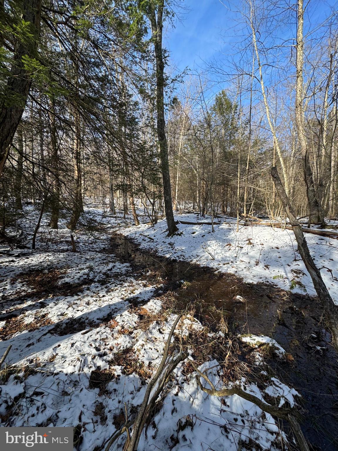 Mayhew Inn Road Oakland, MD 21550 - Photo 23 of 31