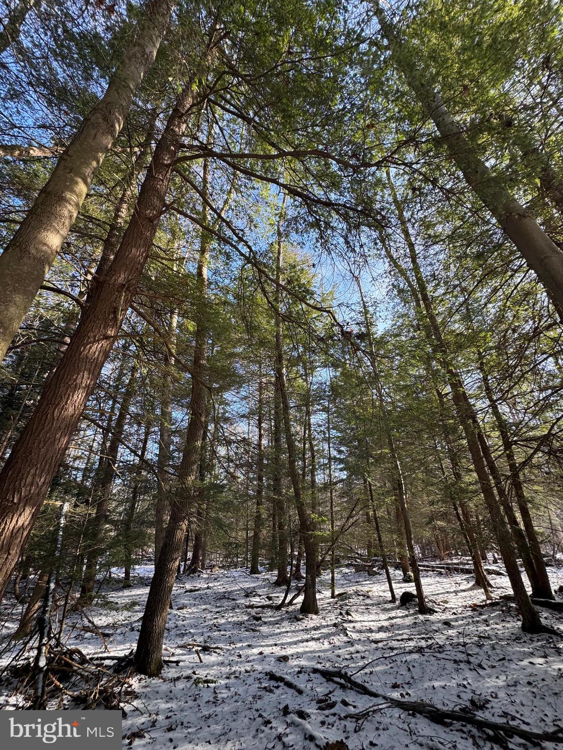 Mayhew Inn Road Oakland, MD 21550 - Photo 24 of 31