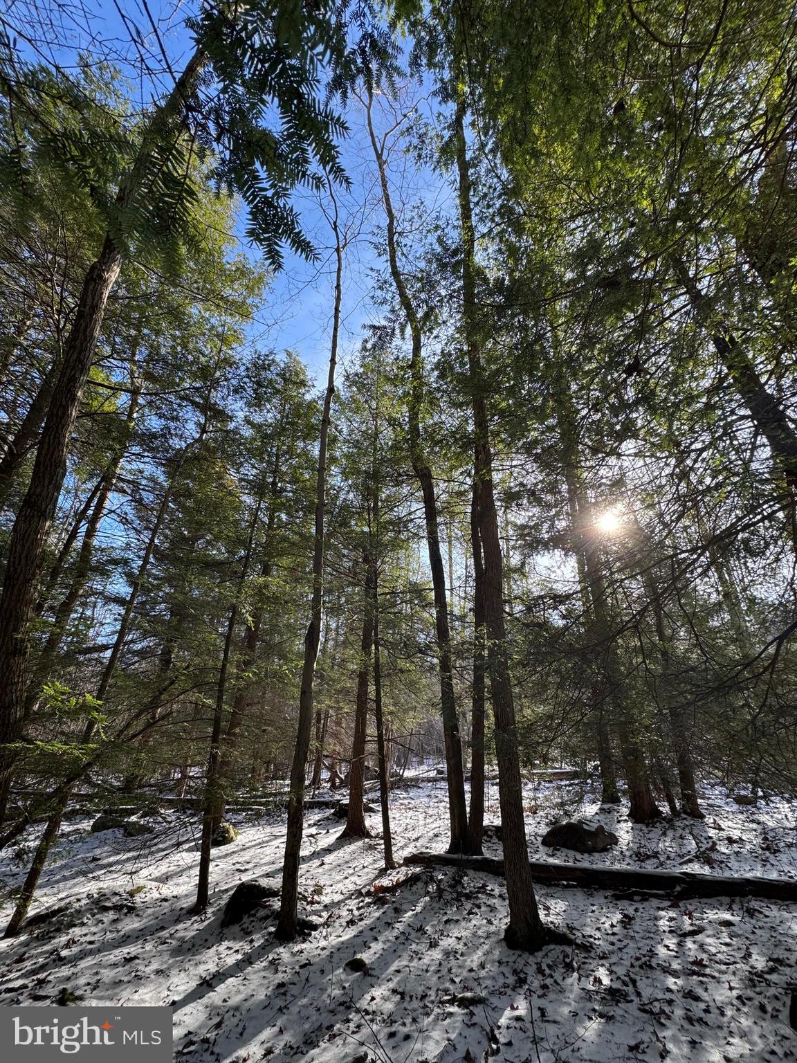 Mayhew Inn Road Oakland, MD 21550 - Photo 25 of 31