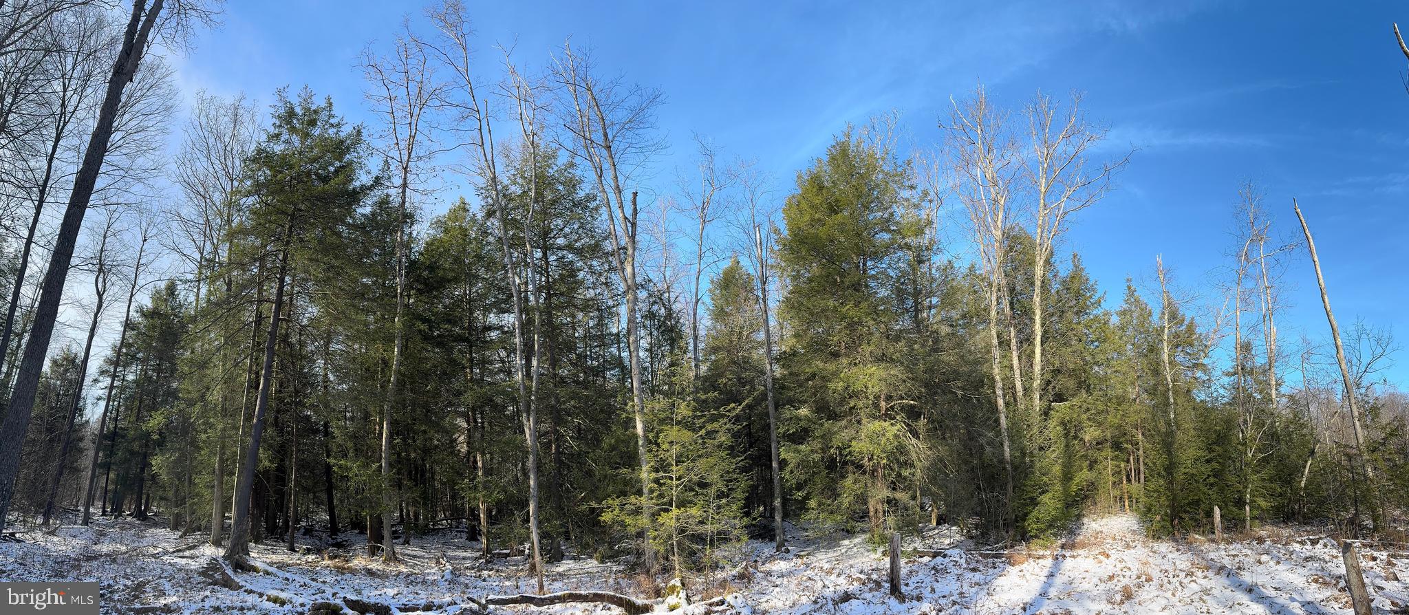 Mayhew Inn Road Oakland, MD 21550 - Photo 26 of 31