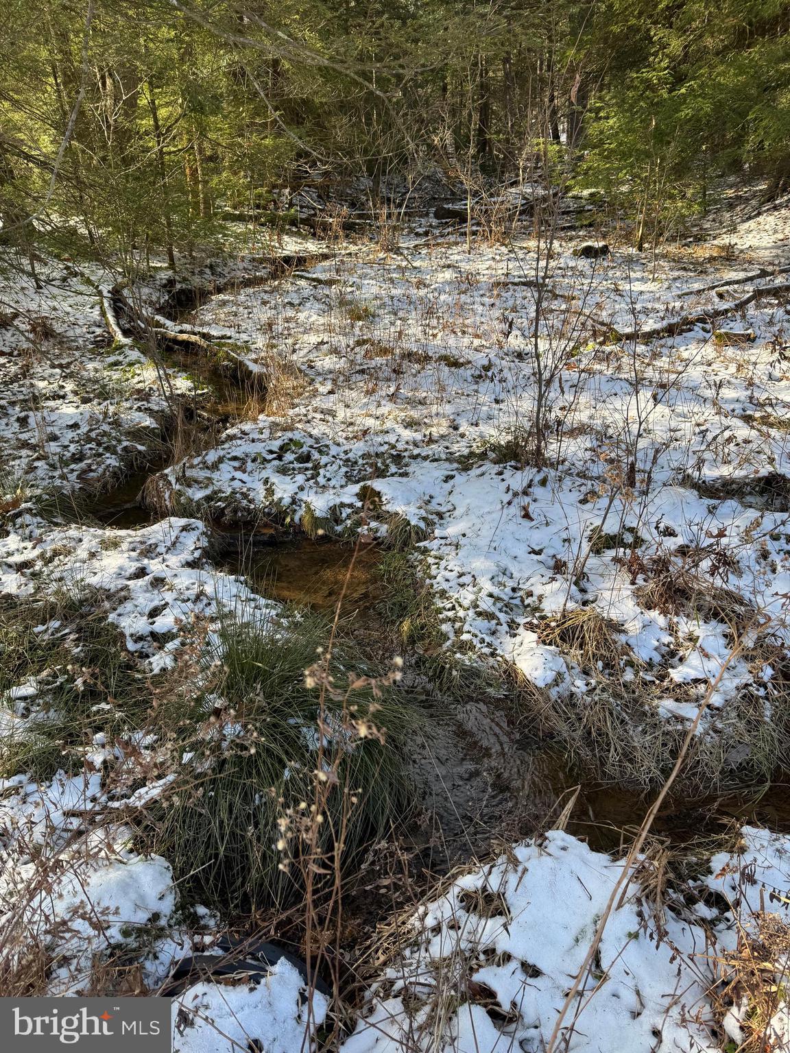 Mayhew Inn Road Oakland, MD 21550 - Photo 27 of 31