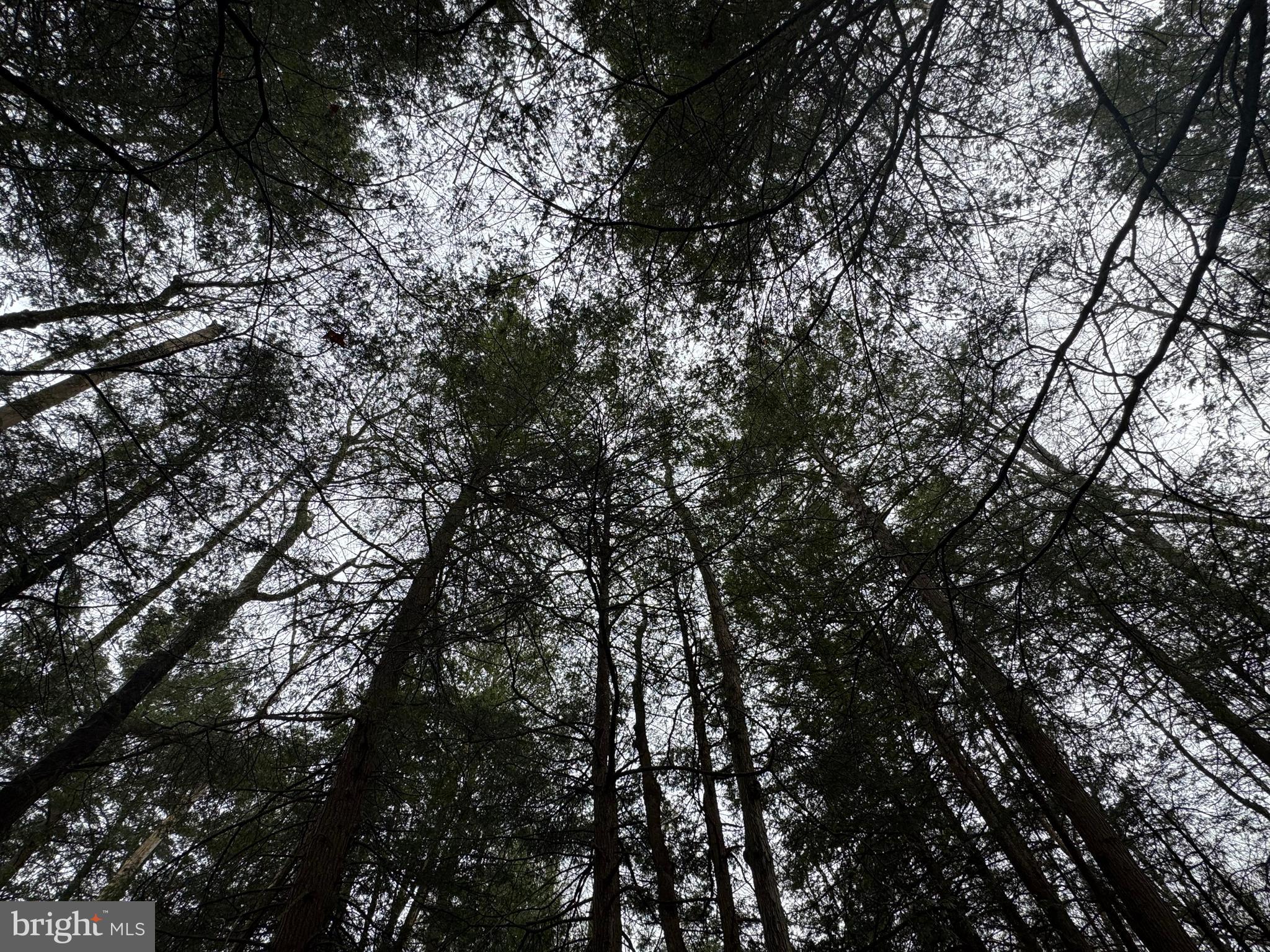 Mayhew Inn Road Oakland, MD 21550 - Photo 30 of 31