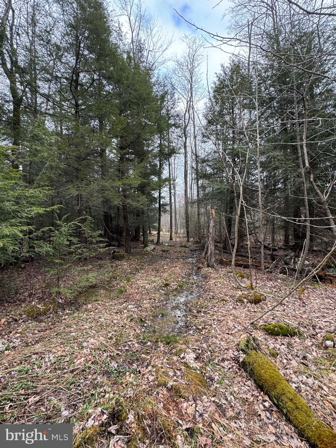 Mayhew Inn Road Oakland, MD 21550 - Photo 3 of 31