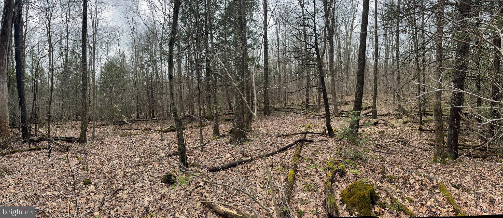 Mayhew Inn Road Oakland, MD 21550 - Photo 31 of 31