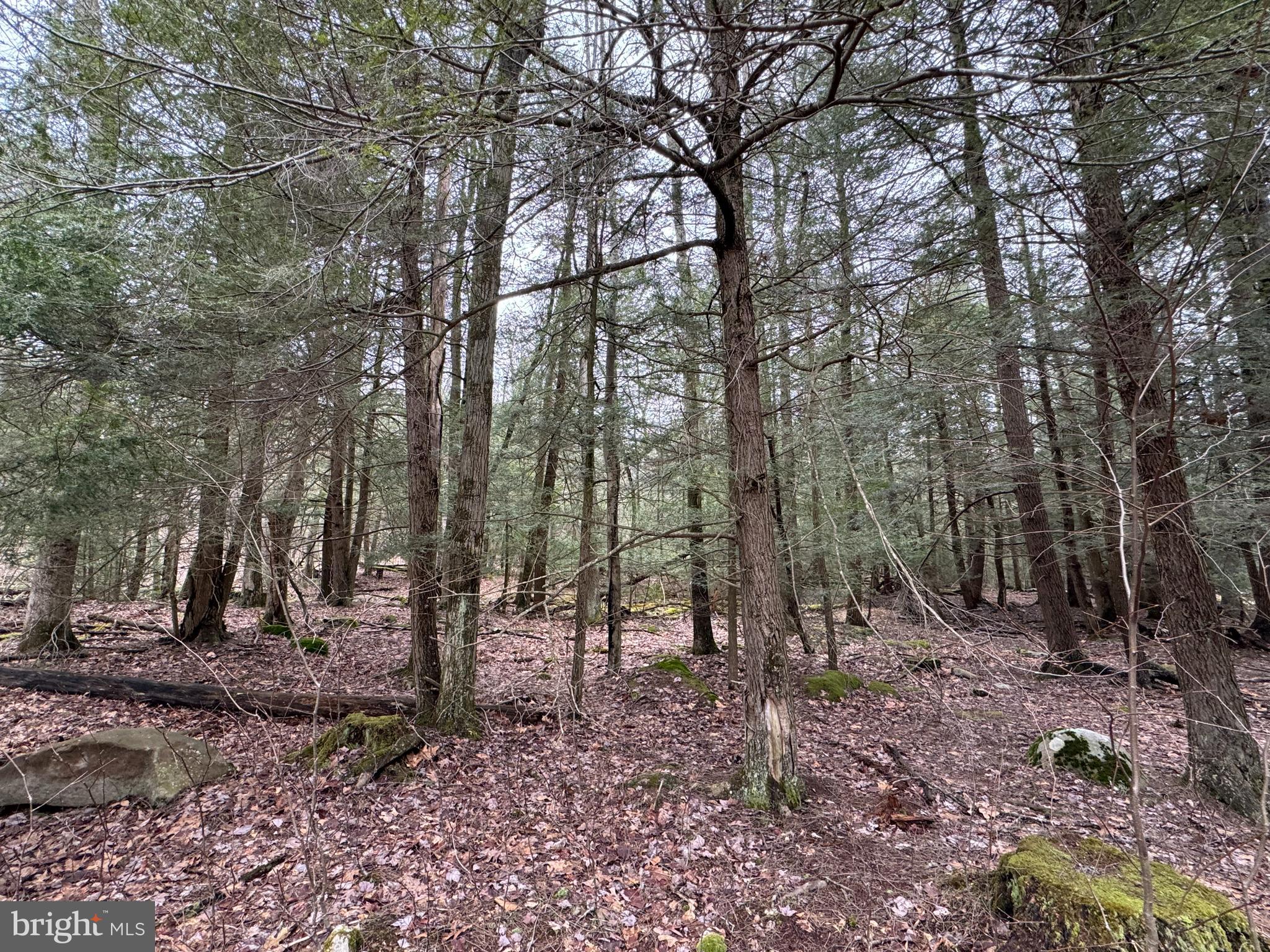 Mayhew Inn Road Oakland, MD 21550 - Photo 4 of 31