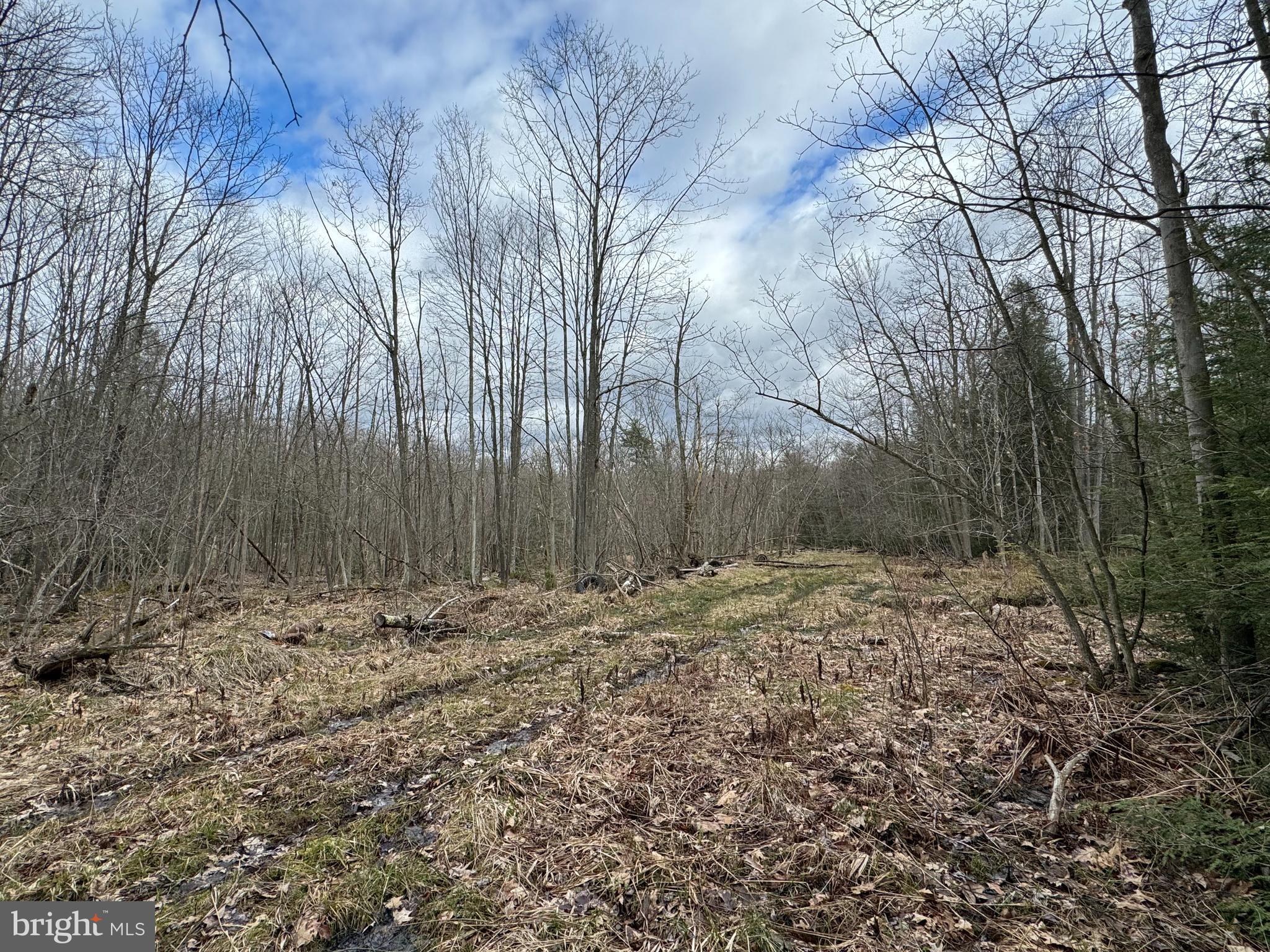 Mayhew Inn Road Oakland, MD 21550 - Photo 5 of 31