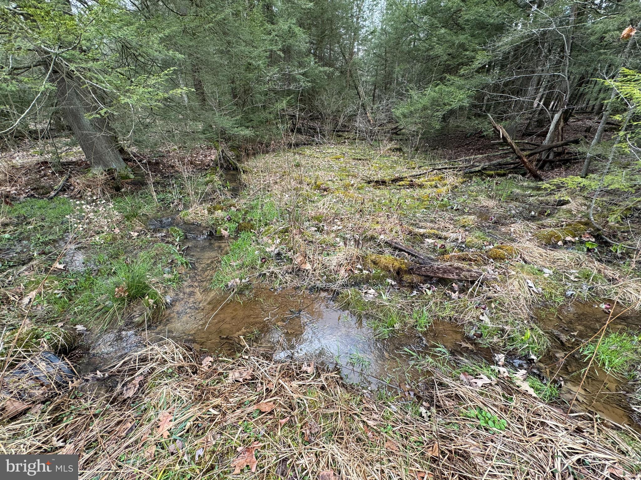 Mayhew Inn Road Oakland, MD 21550 - Photo 6 of 31