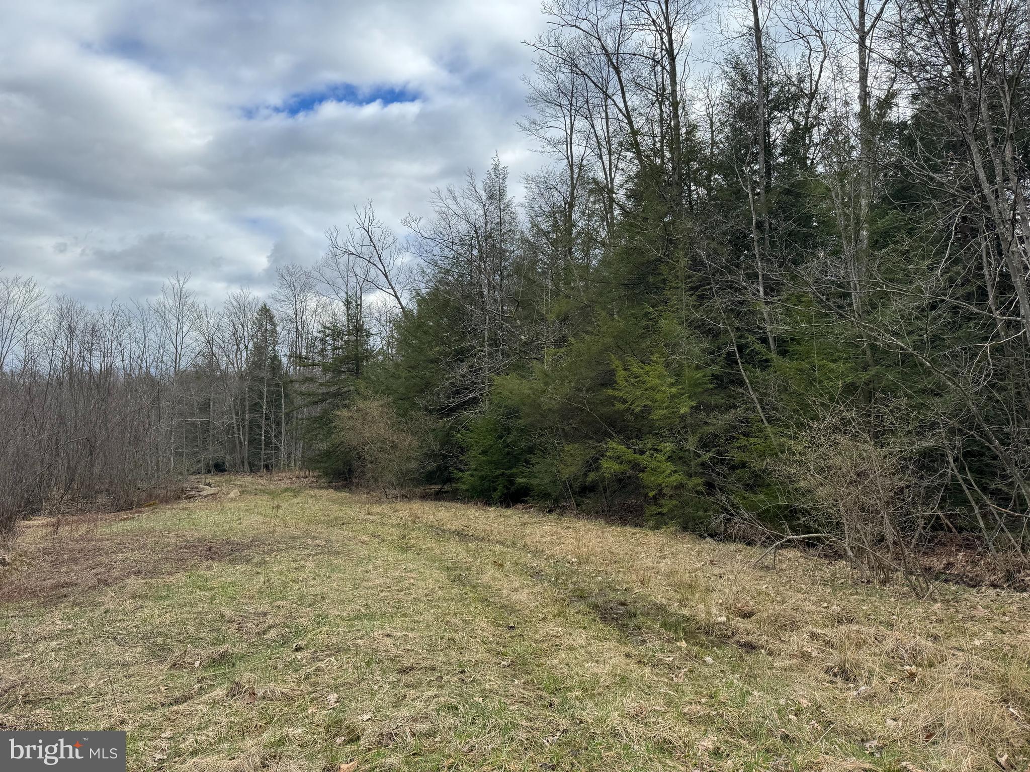 Mayhew Inn Road Oakland, MD 21550 - Photo 7 of 31