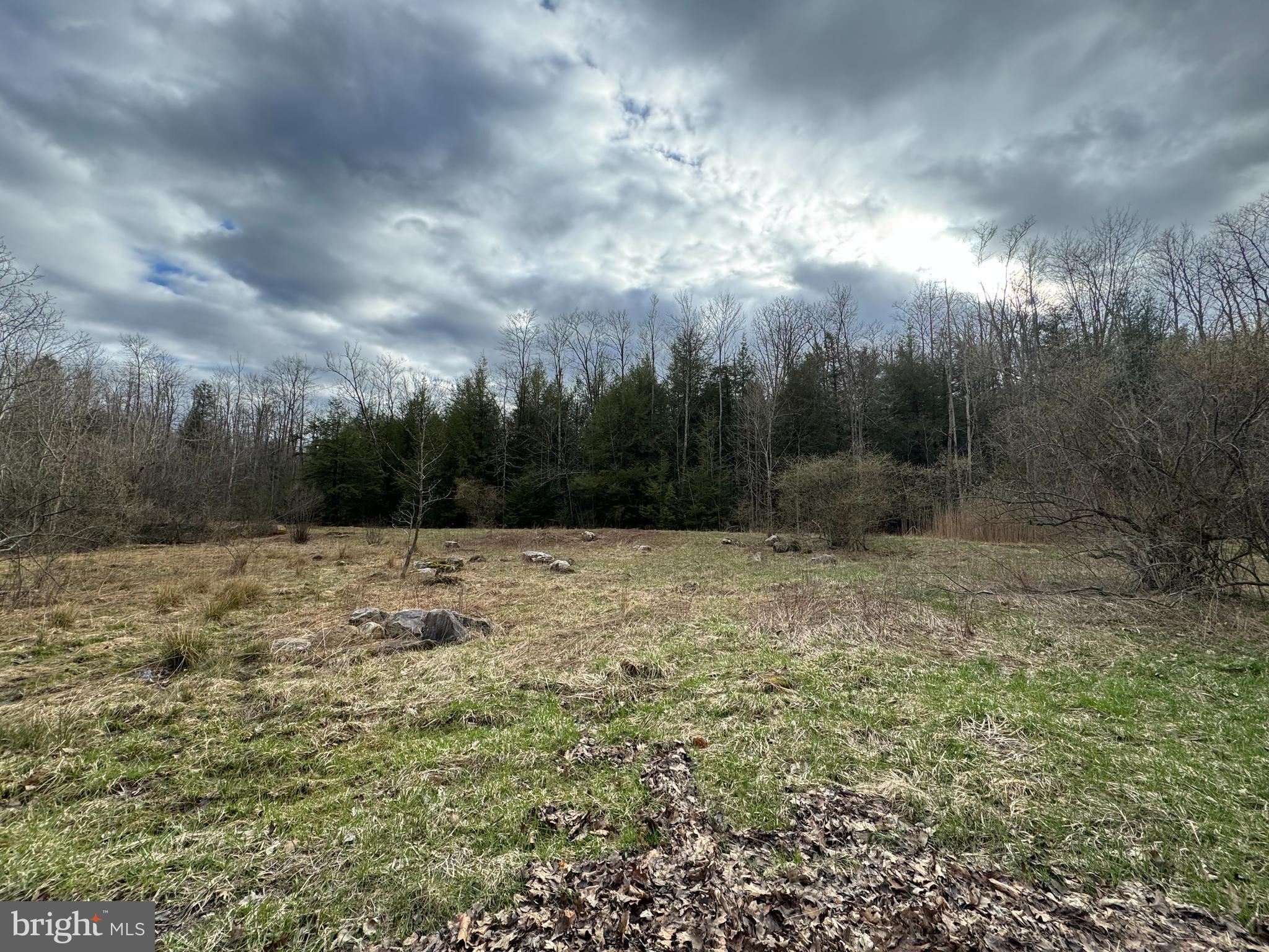 Mayhew Inn Road Oakland, MD 21550 - Photo 8 of 31