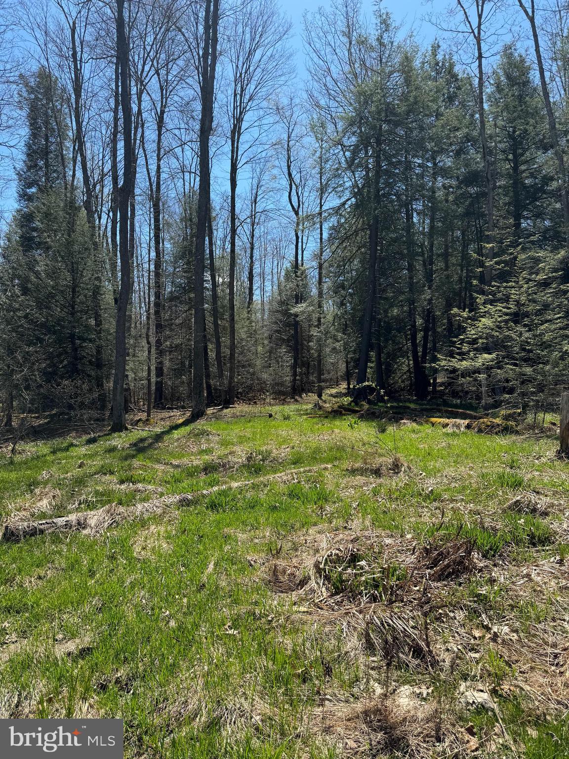 Mayhew Inn Road Oakland, MD 21550 - Photo 9 of 31