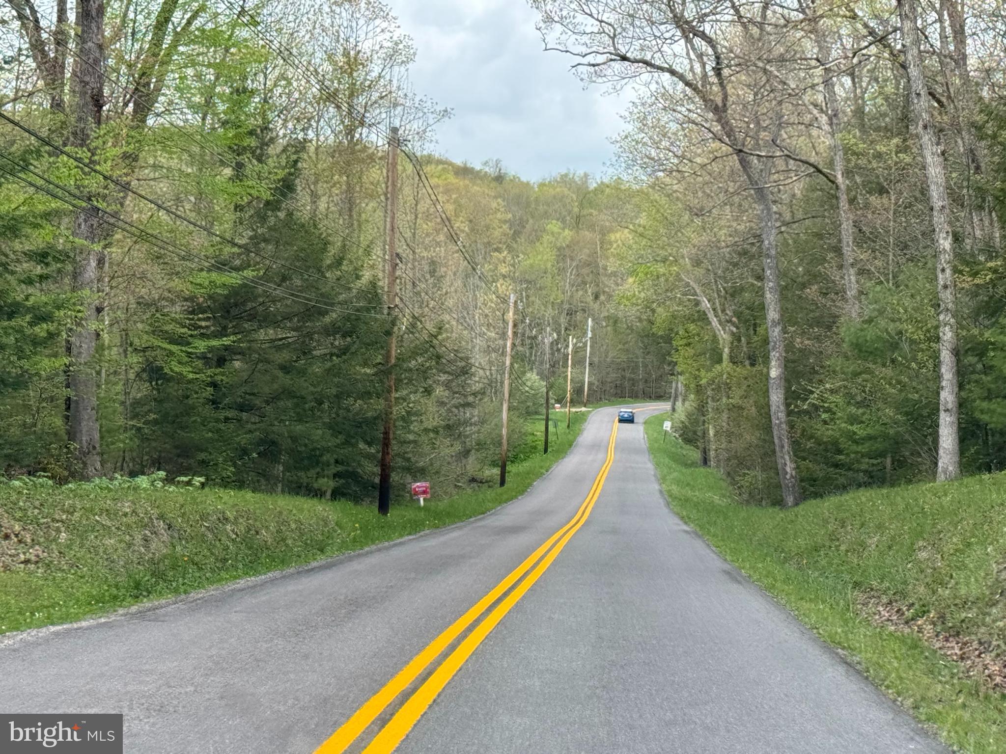 Mayhew Inn Road Oakland, MD 21550 - Photo 10 of 31