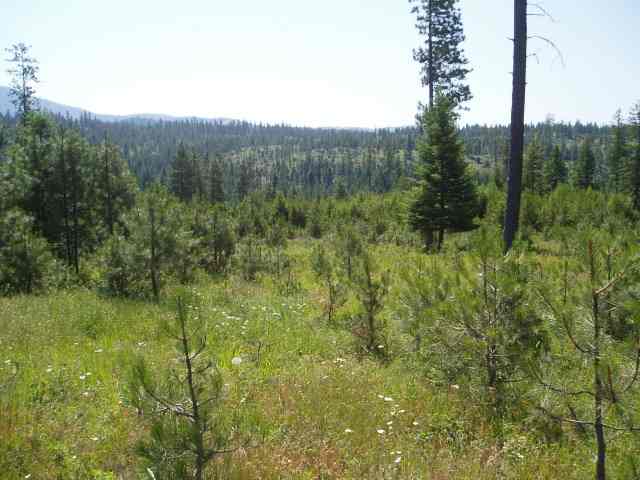 0 East Antler Road Chattaroy, WA 99003 - Photo 3 of 4 Gallery Image 3