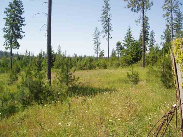 0 East Antler Road Chattaroy, WA 99003 - Photo 4 of 4 Gallery Image 4