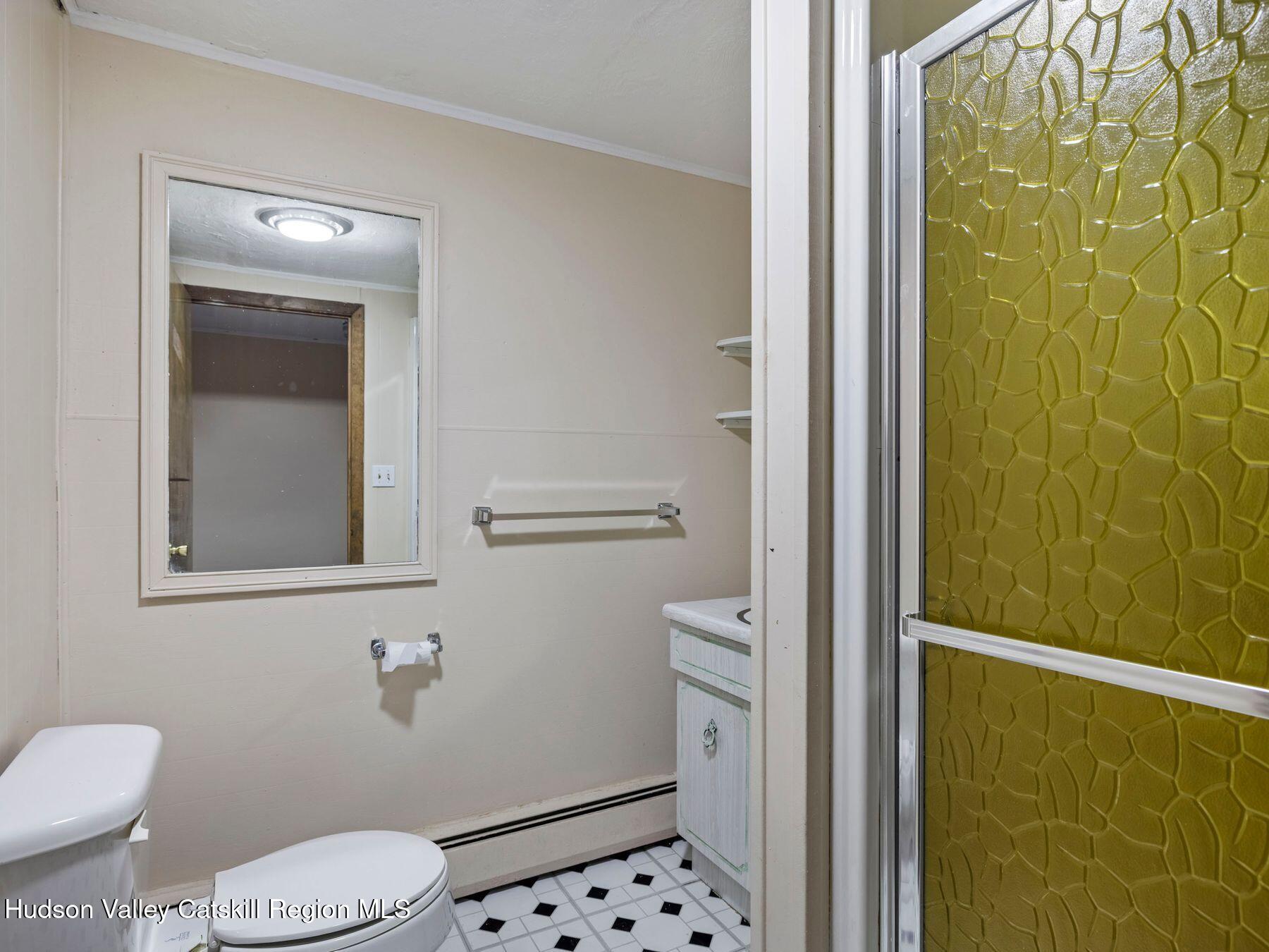 317 Mitchell Hollow Road Windham, NY 12496 - Photo 34 of 41 a bathroom with a toilet and a shower