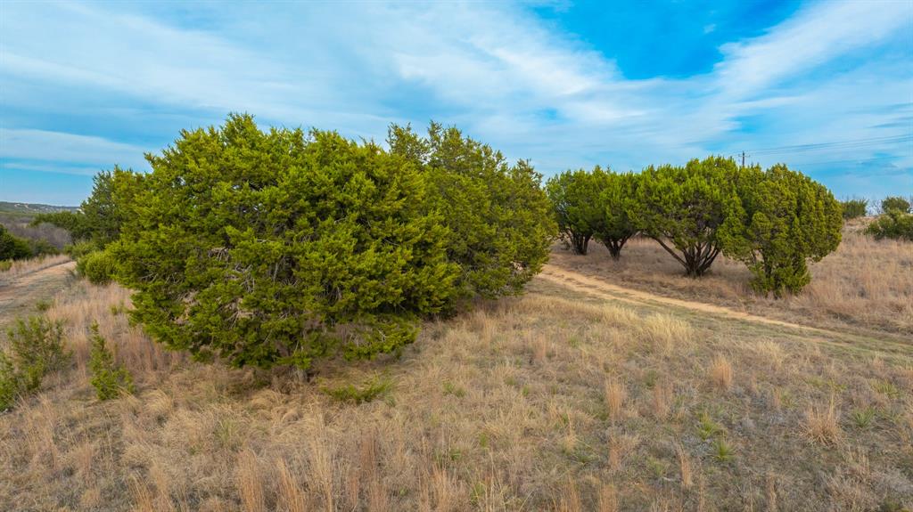 6510 Highway 83 Ovalo, TX 79541 - Photo 5 of 15 a view of a pathway with a tree