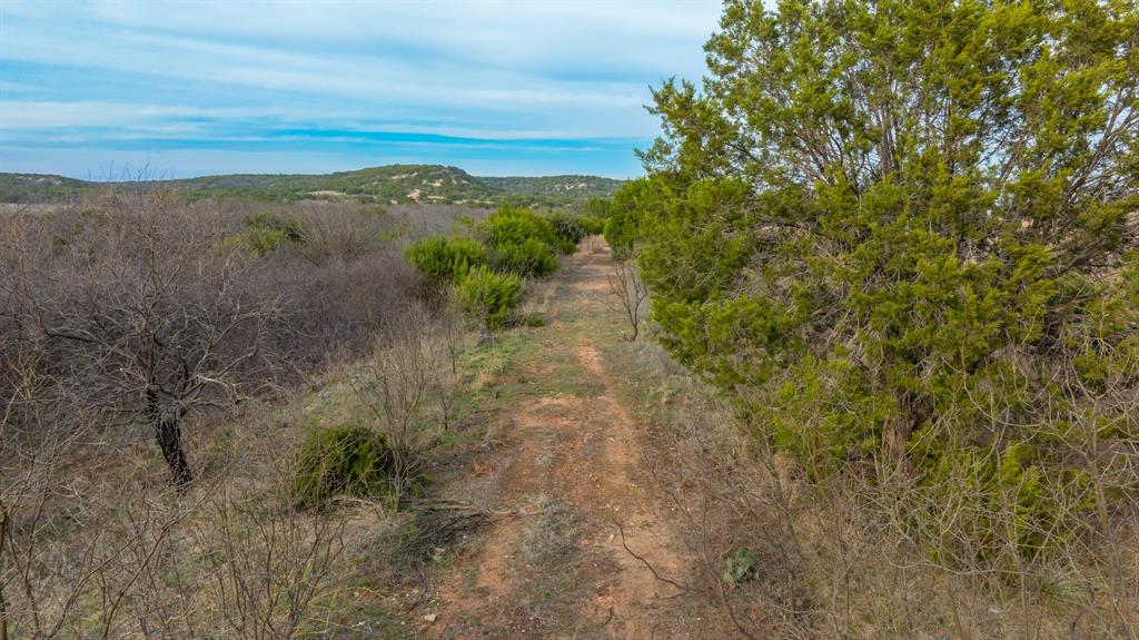 6510 Highway 83 Ovalo, TX 79541 - Photo 6 of 15 a view of a yard with an outdoor space