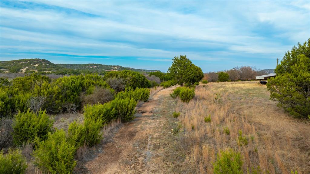 6510 Highway 83 Ovalo, TX 79541 - Photo 8 of 15 a view of a pathway both side of grassy field with shrub