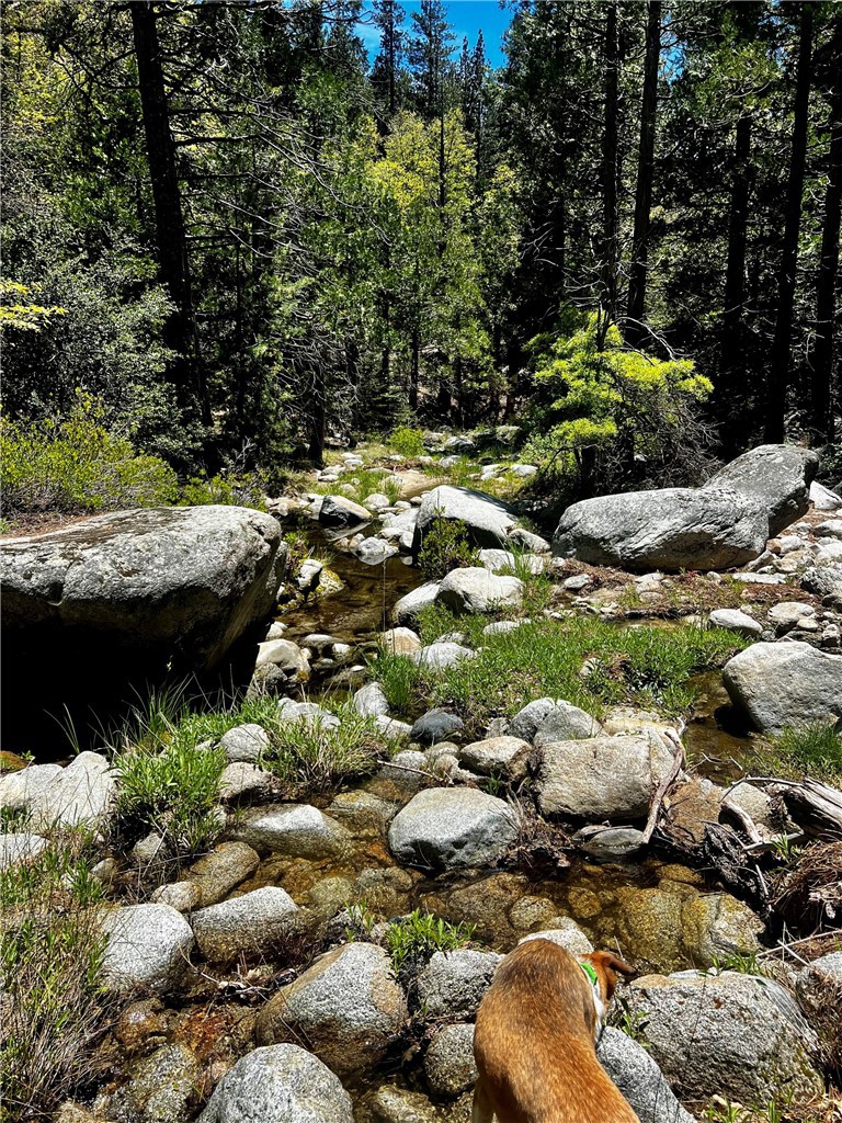 52915 Forest Rte 4S02 Idyllwild, CA 92549 - Photo 25 of 30 Creek below/Will get much more full during spring/winter