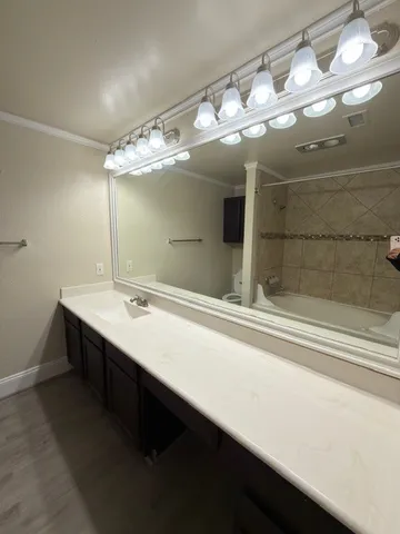 a bathroom with a sink and a large mirror