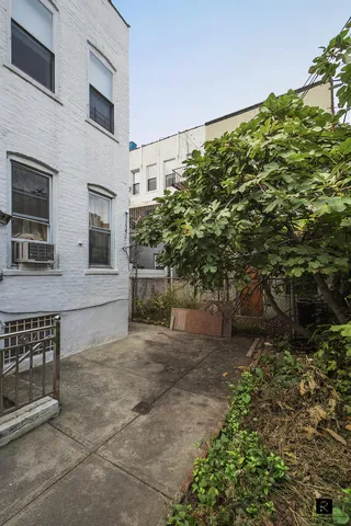 a view of a pathway with a tree
