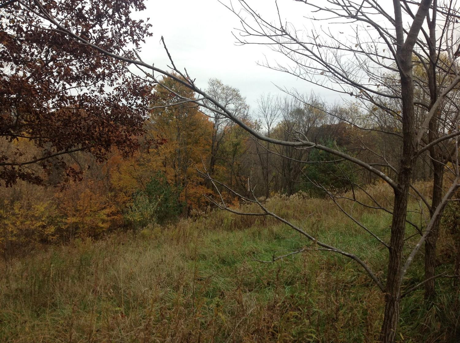 4019 Long Lick Road Stamping Ground, KY 40379 - Photo 27 of 31 Photo 27