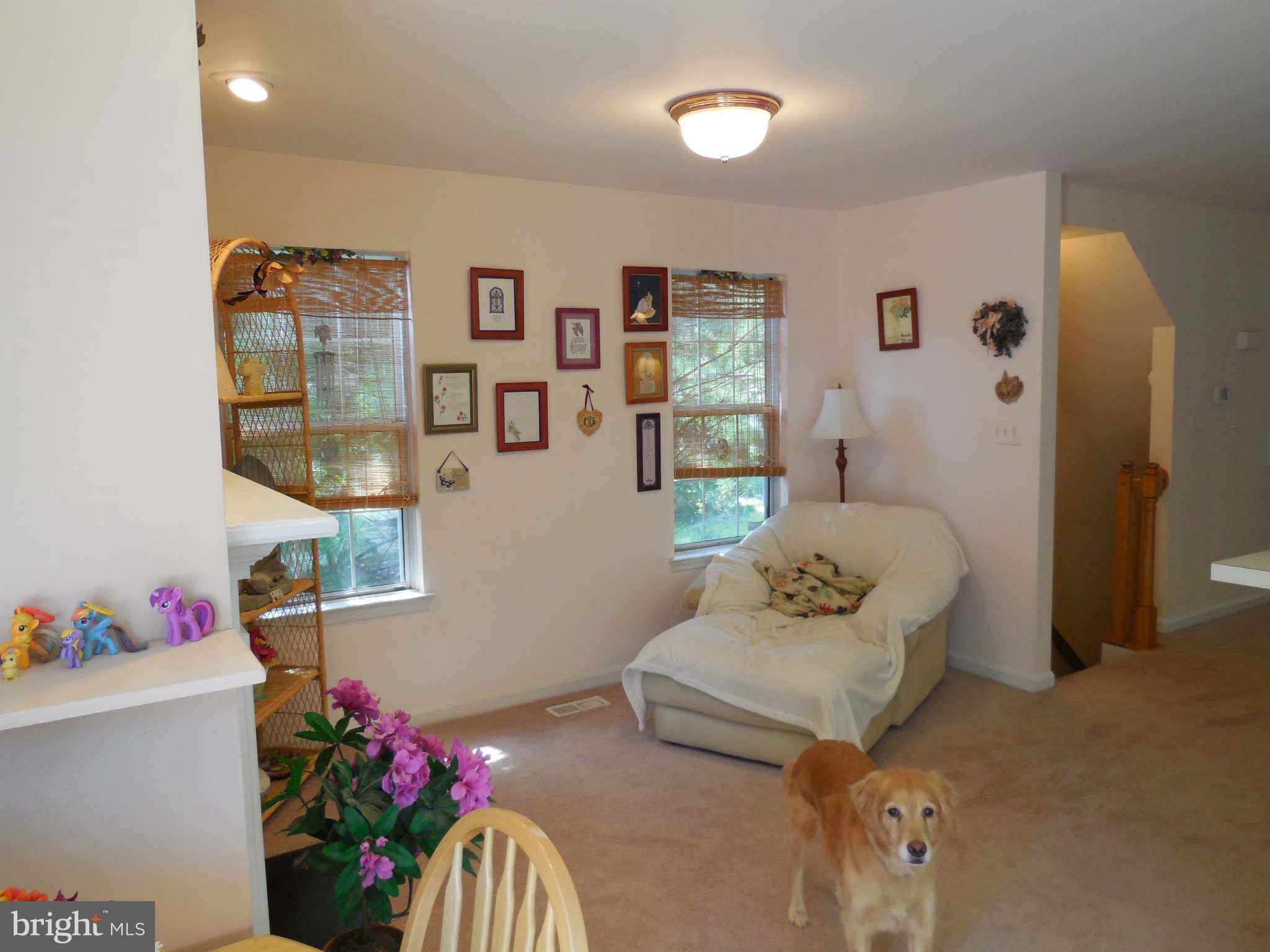 300 Rugby Road Fredericksburg, VA 22406 - Photo 15 of 29 a living room with furniture and flowers
