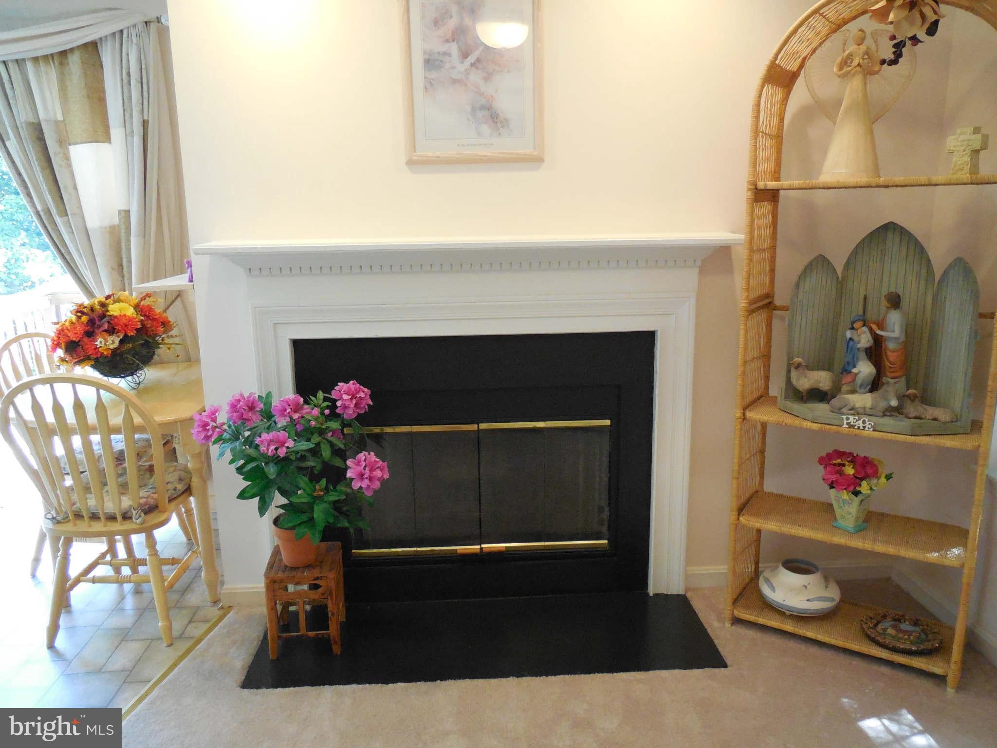 300 Rugby Road Fredericksburg, VA 22406 - Photo 16 of 29 a living room with furniture and flowers