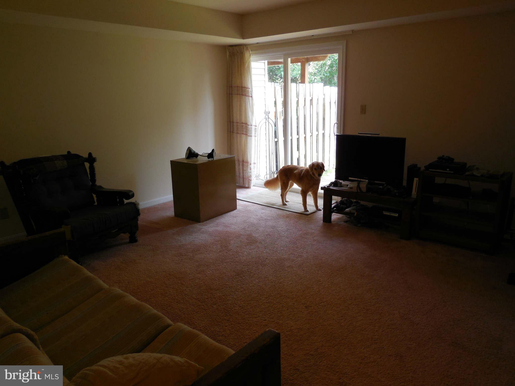 300 Rugby Road Fredericksburg, VA 22406 - Photo 26 of 29 a living room with furniture a flat screen tv and a window