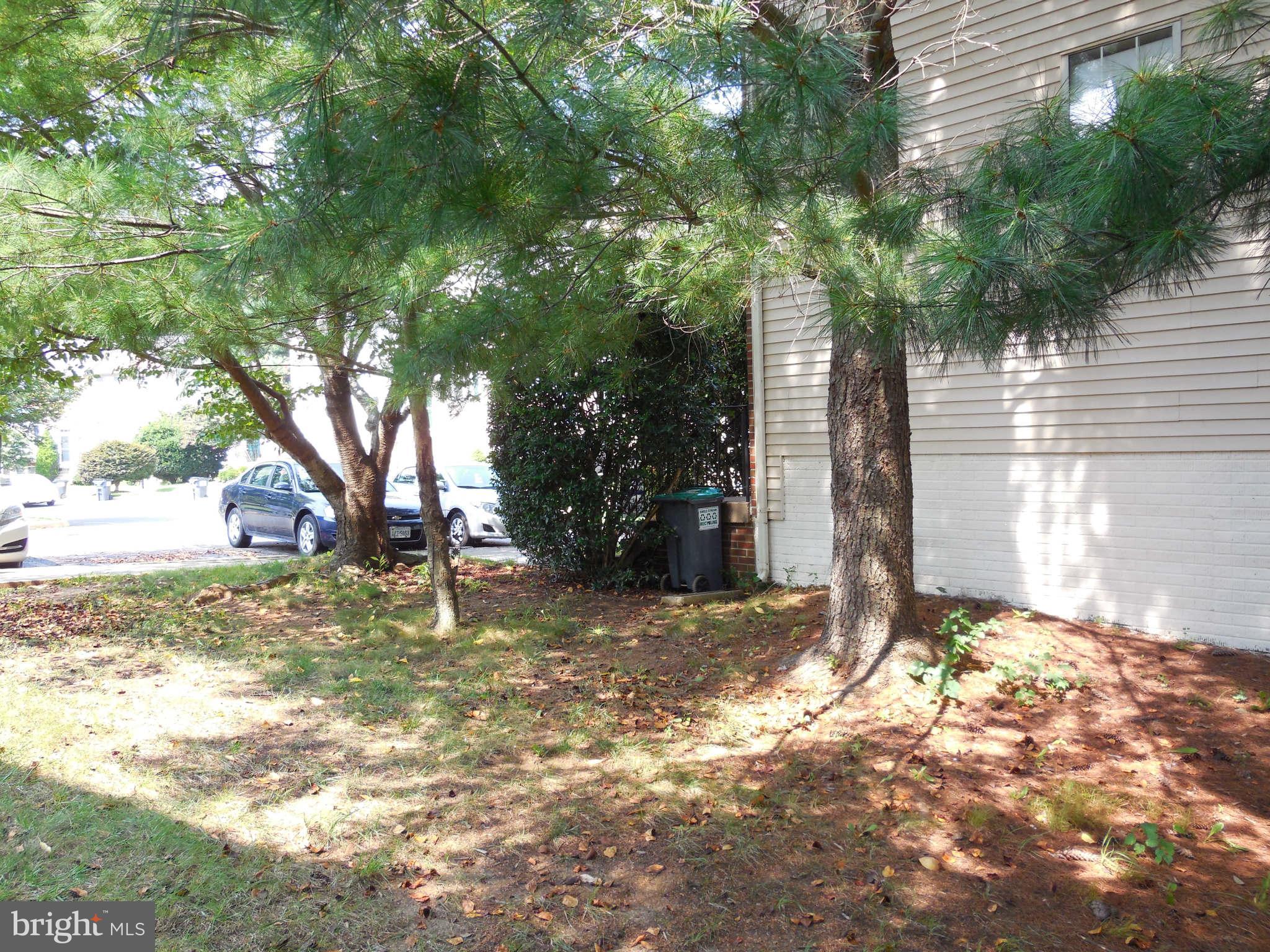 300 Rugby Road Fredericksburg, VA 22406 - Photo 4 of 29 a view of a yard with a tree