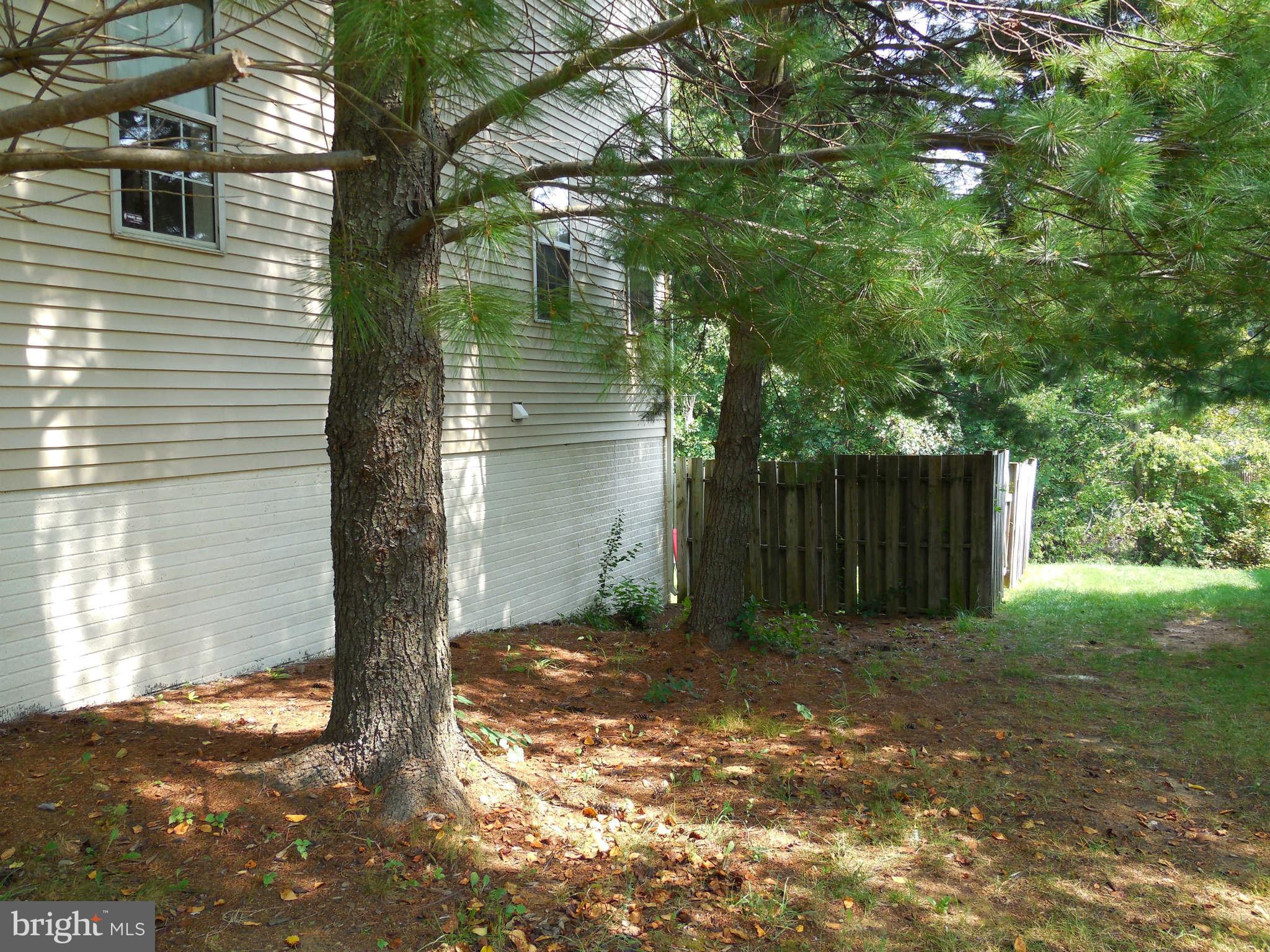 300 Rugby Road Fredericksburg, VA 22406 - Photo 5 of 29 a backyard of a house with lots of green space