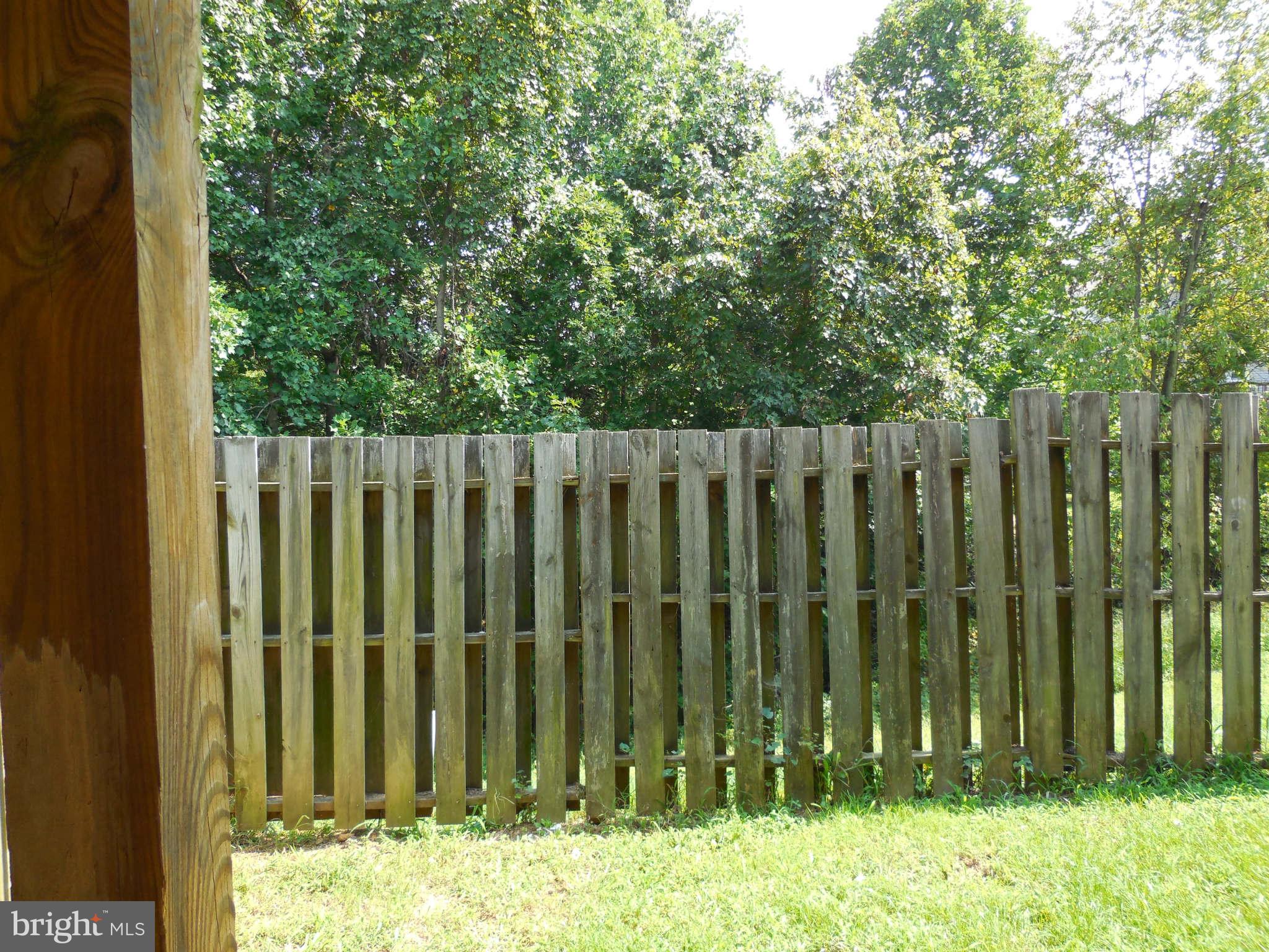 300 Rugby Road Fredericksburg, VA 22406 - Photo 6 of 29 a view of a wooden fence with a small yard